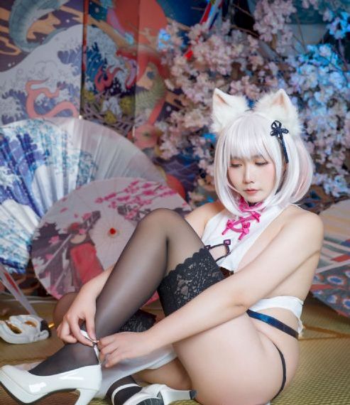 电视剧龙年档案